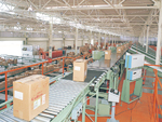 automated sorter―Sorting Master―