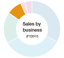 Sales by business (FY2017)