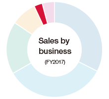 Sales by business (FY2017)