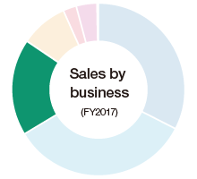 Sales by business (FY2017)