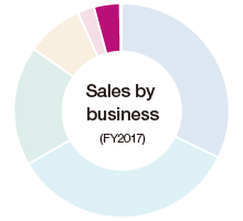 Sales by business (FY2017)