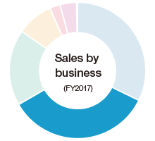 Sales by business (FY2017)