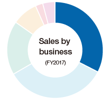 Sales by business (FY2017)