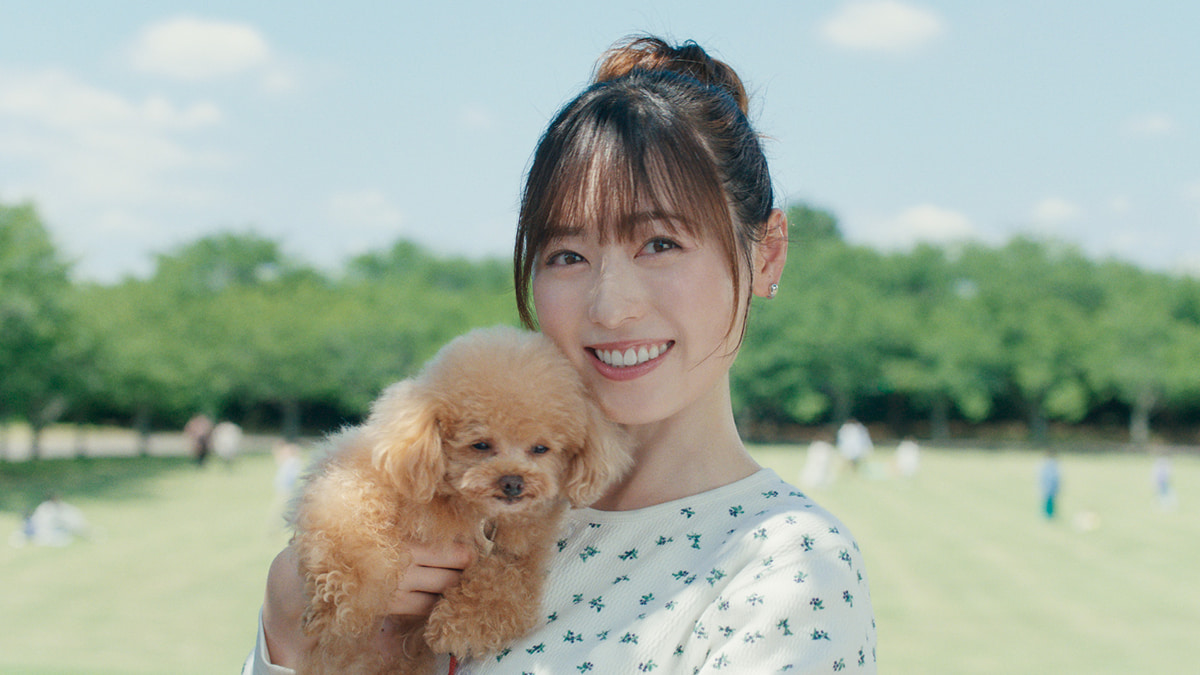 だいたいダイフク