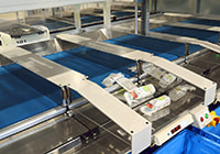 conveyor chute