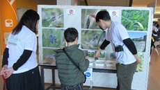 企画展示（琵琶湖博物館）の様子