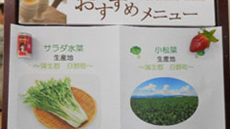 地元の食材を使用したメニュー