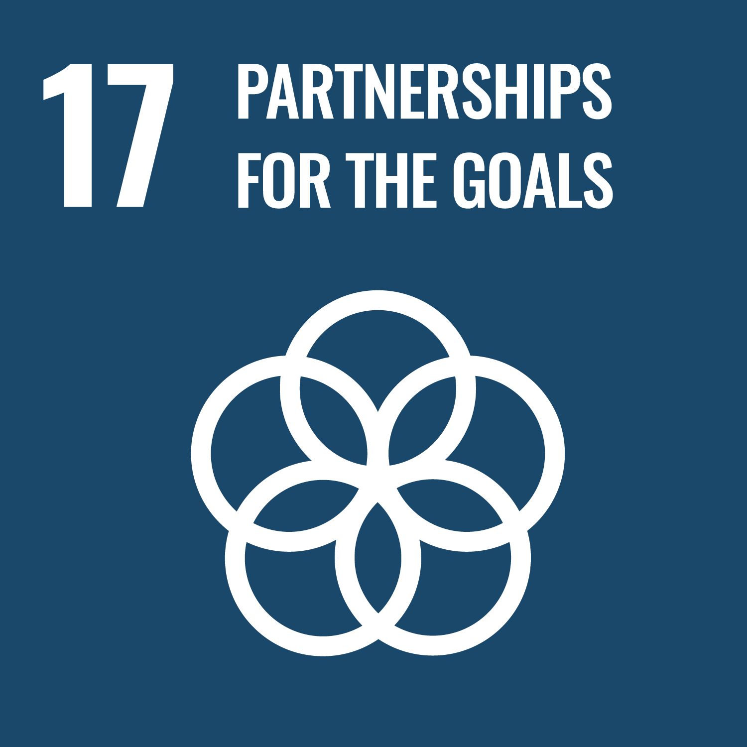 SDGs No.17