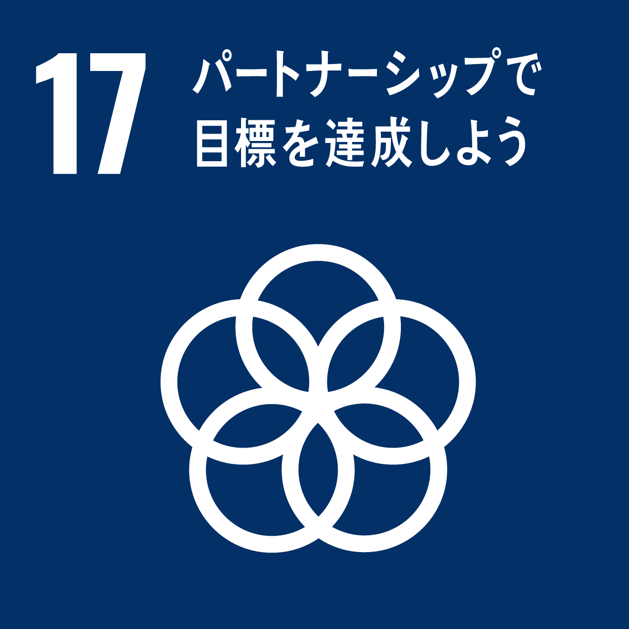 SDGs No.17