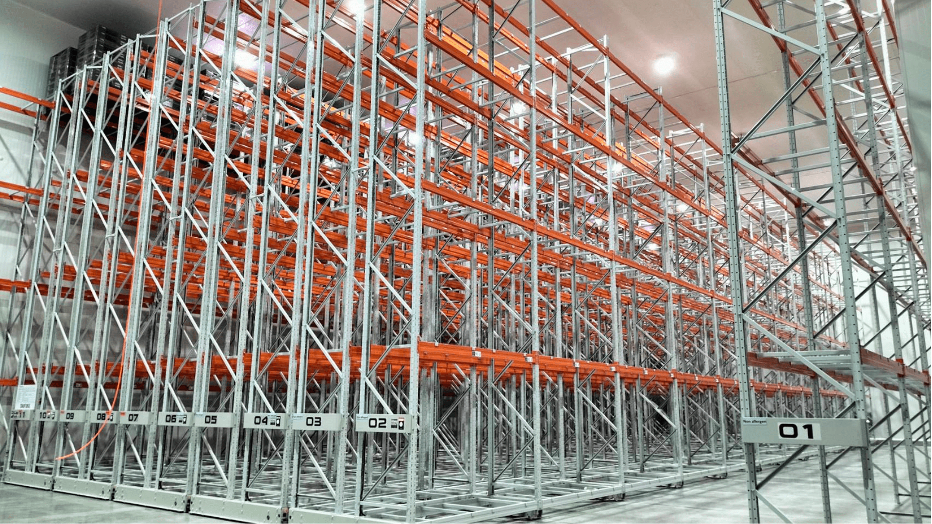 Mobile Rack in Cold Warehouse