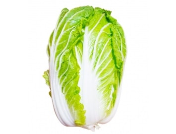 Chinese cabbage