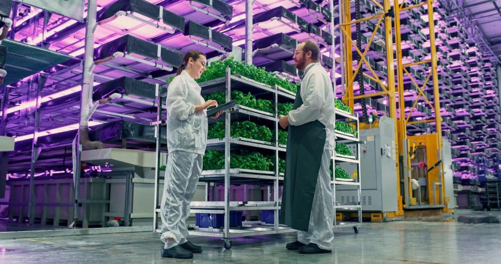 Vertical Farming
