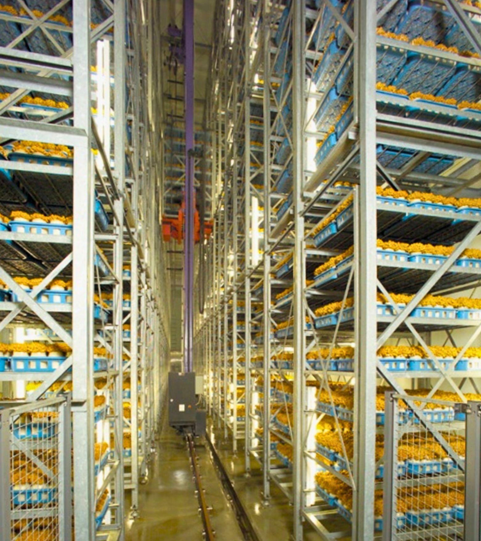 Vertical Farming