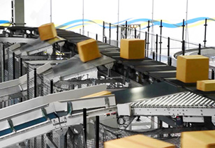 Case sorting system - Cross-belt Sorter