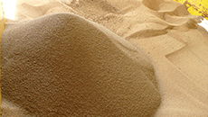 Dried sludge