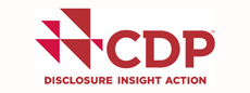 CDP DISCLOSURE INSIGHT ACTION