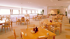 Restaurant & Café